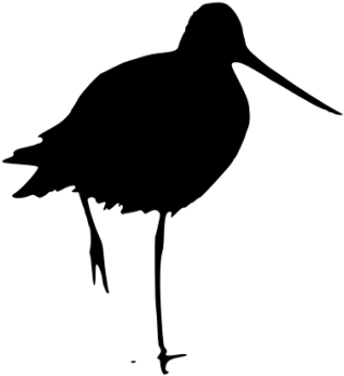 Silhouette - Snipe Bird Silhouette (400x400), Png Download