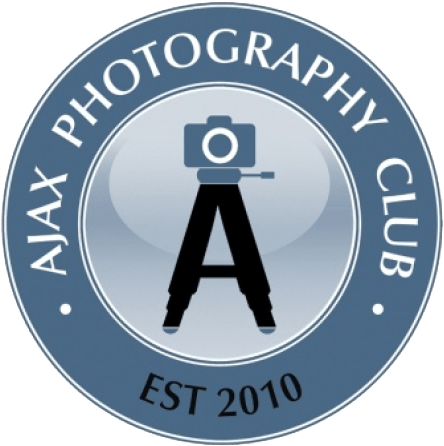 Apc Open House September 7th And 19th, 2018 At Pizza - Finland Arabia Tuokio Cobalt Tea Saucer 17cm (saucer (504x504), Png Download