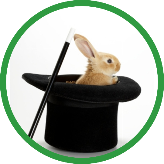 Hero Magic-rabit - Rabbit In Hat With Magic Wand Wristlet (540x540), Png Download