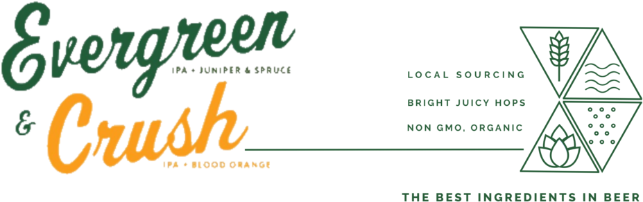 Evergreen Crush Logo With Triangles - Portable Network Graphics (1000x347), Png Download