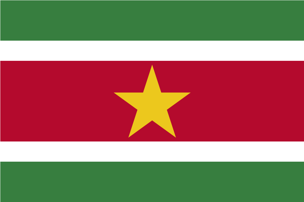 Download Svg Download Png - Suriname Flag (1024x1024), Png Download