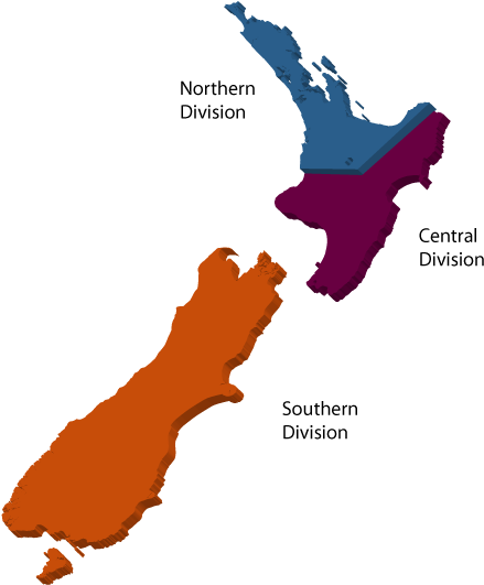 Freemason New Zealand By Division Pic - New Zealand Vector Map (553x623), Png Download