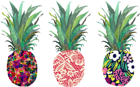 Tumblr Pineapple Png - Png Pineapple Transparent (500x303), Png Download
