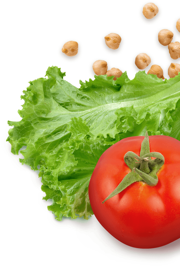 Cooking Classes - Lettuce And Tomatoes Png (640x920), Png Download