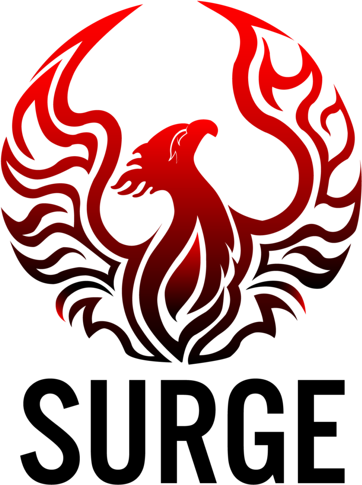 Cropped Surge 02 » Cropped Surge 02 - Stop Common Core Shirt (954x1300), Png Download