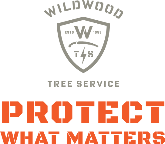 Wts Protect Matters - Project (544x475), Png Download