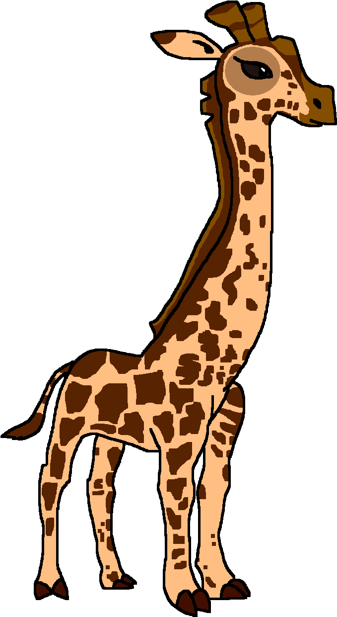Masai Giraffe (690x1249), Png Download