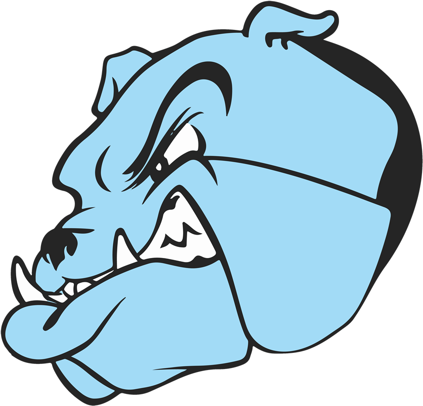 Bridgeport Bulldogs - Bridgeport High School Ohio Mascot (1024x1024), Png Download