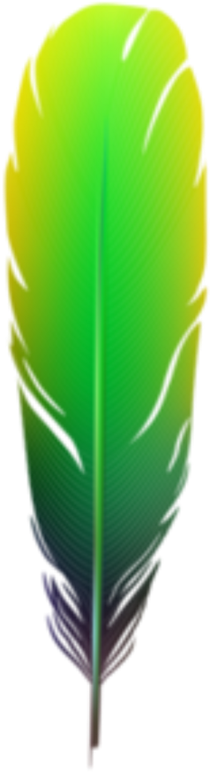 Feather Feathers Boho Bohemian Bohofeathers Tribal - Picsart Photo Studio (1024x1024), Png Download