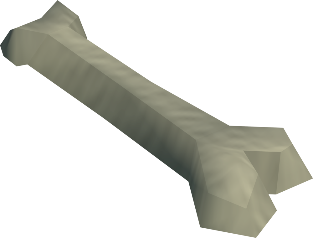 Femur Bone Detail - Wiki (1000x760), Png Download