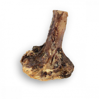 Rodent (400x400), Png Download