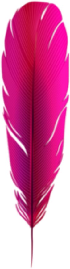 Feather Feathers Boho Bohemian Bohofeathers Tribal - Feather (1024x1024), Png Download