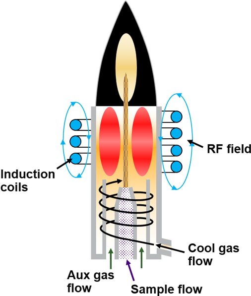 Plant Cell (540x615), Png Download