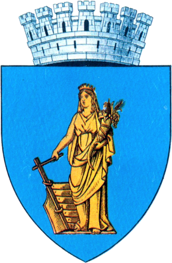 Logol Constanta Coa - Primaria Alba Iulia (600x888), Png Download