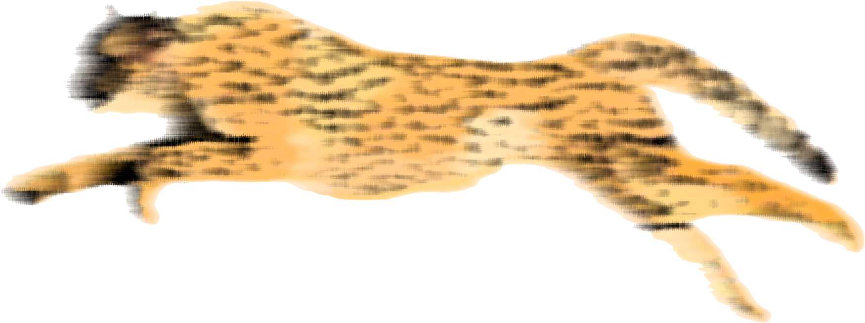 Cheetah Running Png - Transparent Background Cheetah Gif (1920x1028), Png Download