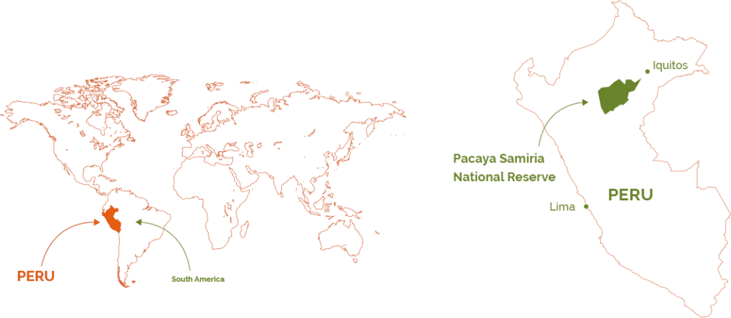 Destination Delfin Amazon Cruise - World Map (1024x446), Png Download