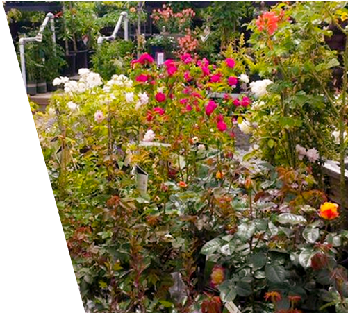 A To Z Supply - B & C Ace Home & Garden Center (1200x450), Png Download