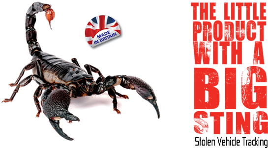 Scorpiontrack Scorpion - Scorpions By Gail Saunders-smith (545x302), Png Download