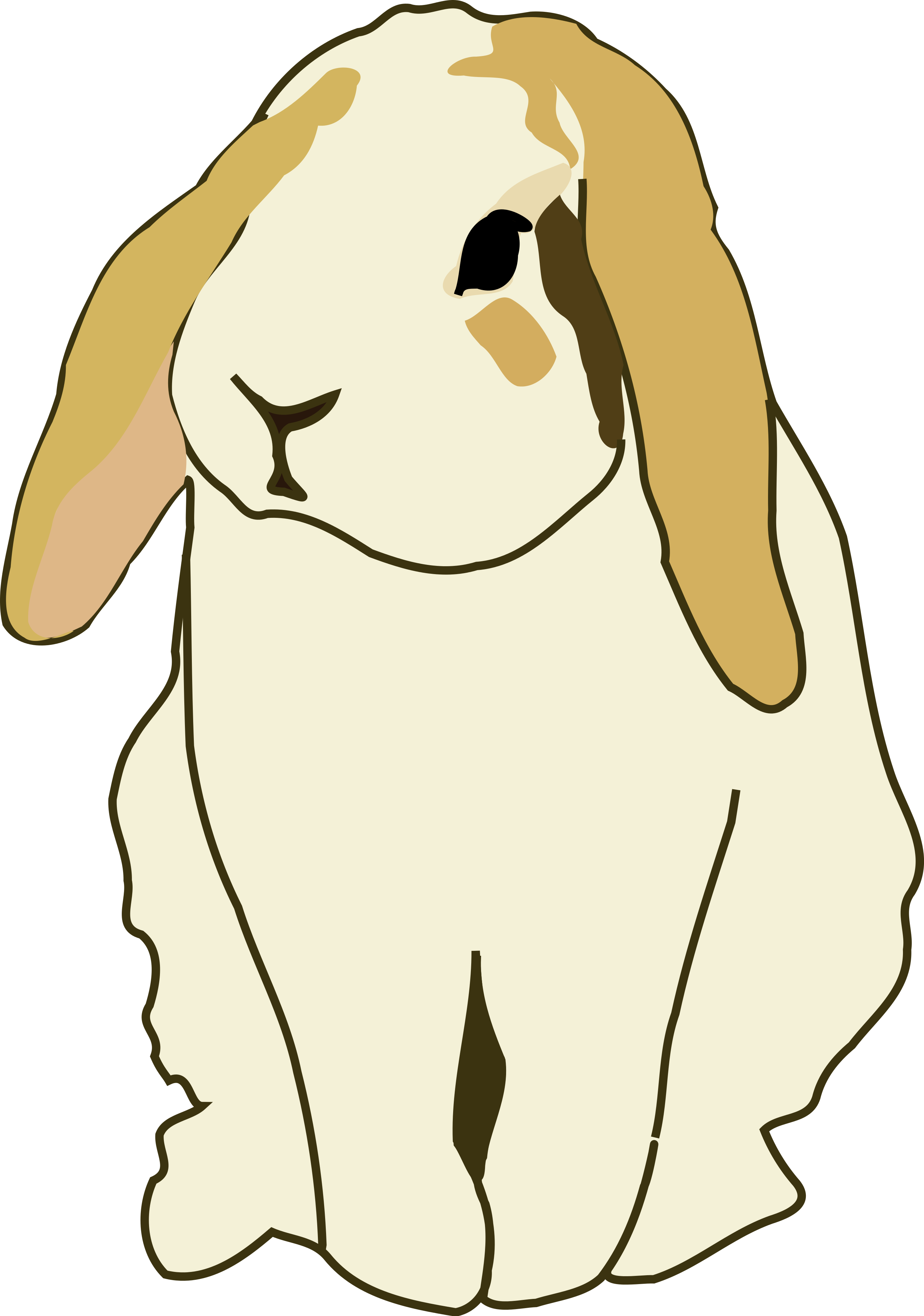 How To Set Use Lop Eared Rabbit Clipart (632x900), Png Download