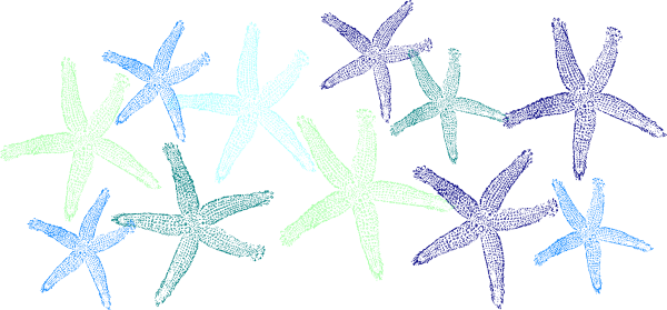 How To Set Use Green And Blue Starfish Clipart (600x279), Png Download