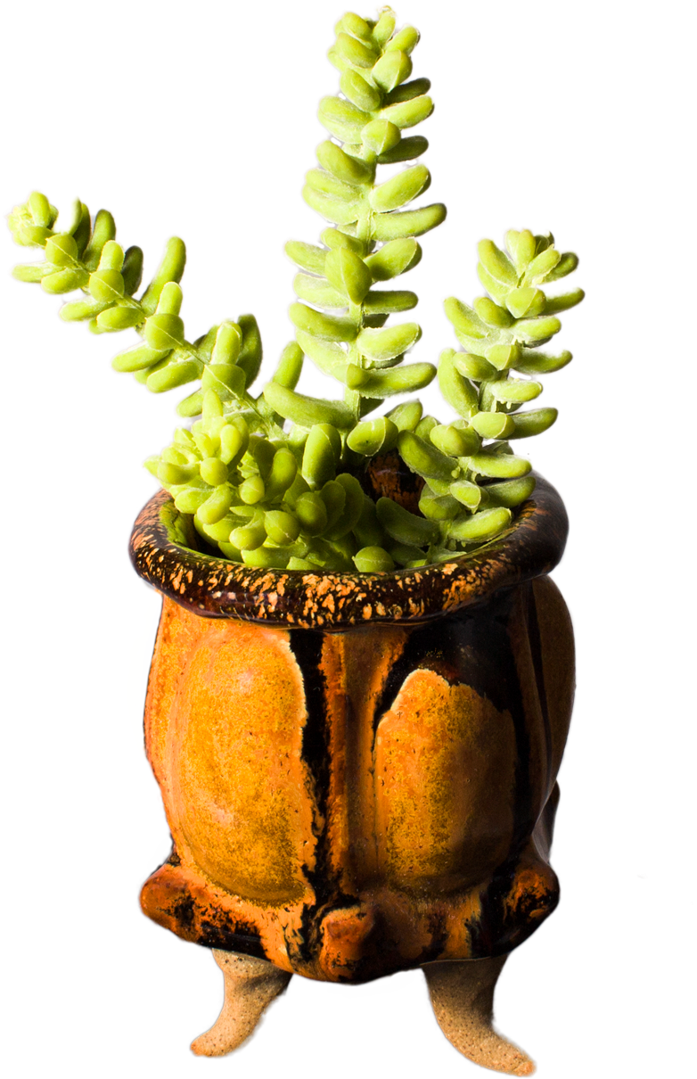 Handmade Pottery Succulent Pot With Plant - Pottery (1920x1280), Png Download