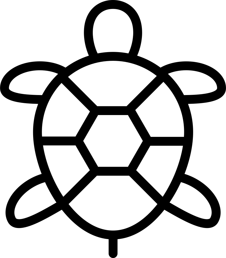 Png File - Sea Turtle Clipart Top View (860x980), Png Download