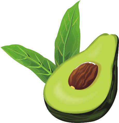 Avocado Half Cut - Avocado (550x550), Png Download