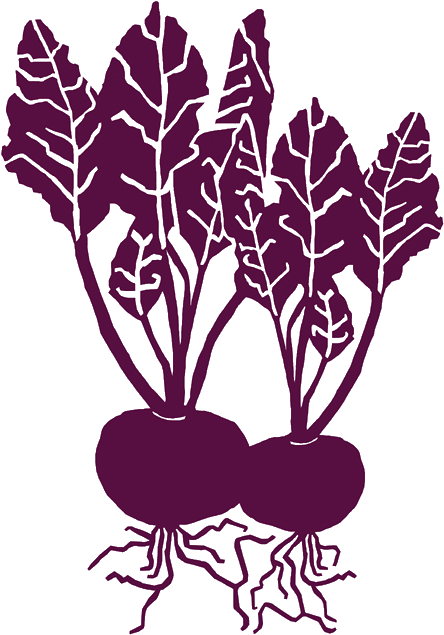 Graphic Library Beet Drawing Painting - Beetroot (450x642), Png Download