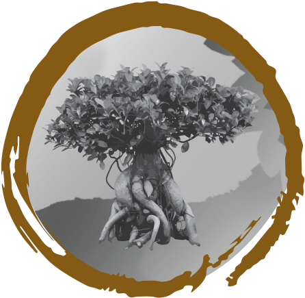 Nl/media/zencircle Ficus Ginseng Rgb /static/orientalonline - Online And Offline (561x543), Png Download