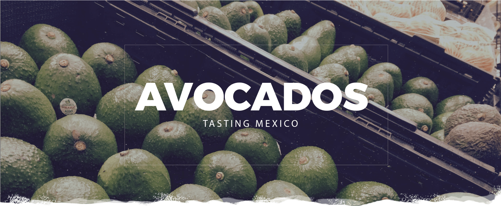Avocado (1920x1000), Png Download