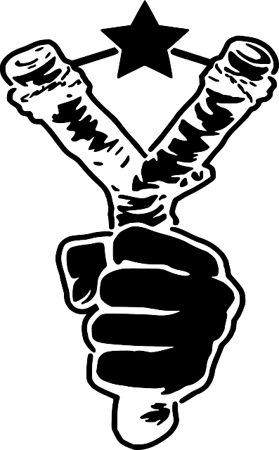 Slingshot, Sling, Shooting, Fist - Gogol Bordello Stencil (397x640), Png Download