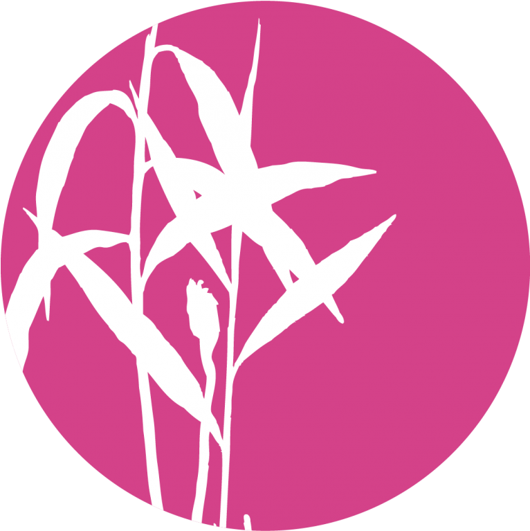 Rosa Centifolia Cut - Holy Basil Pink Leaves (765x937), Png Download