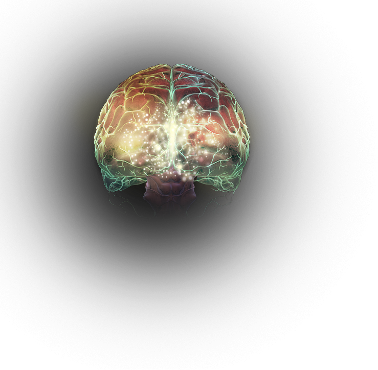 Effect Of Cocaine On Dopamine Levels In The Brain - Dopamine (739x724), Png Download