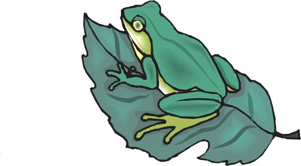 Frog - Frog On A Leaf Clipart (600x331), Png Download