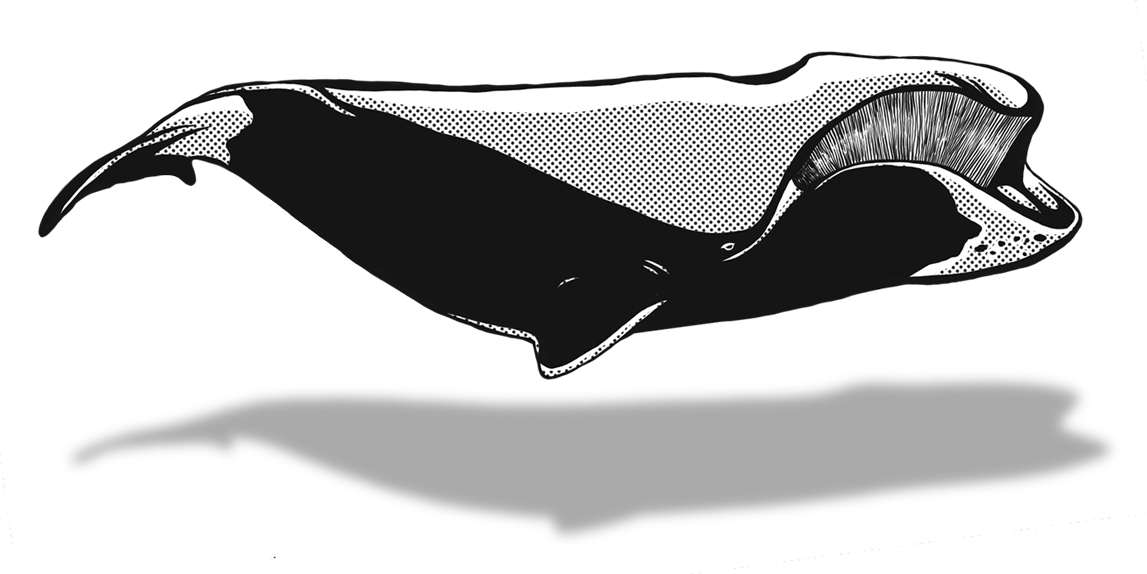 May - Illustration (1147x574), Png Download