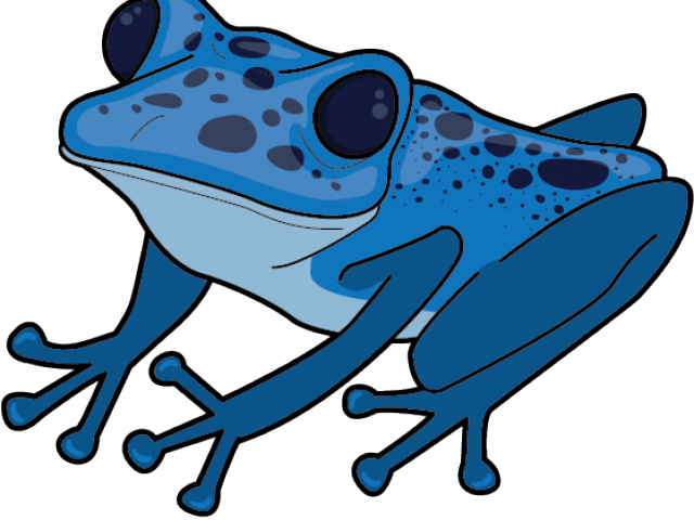 Poison Dart Clipart Clipground Click To Save - Poison Dart Frog Clip Art (559x449), Png Download