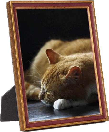 Table Top - Wood Picture Frame In Red 4x6 Frameology (600x560), Png Download