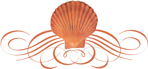 Seashell Flourish - Seashell Dividers (519x346), Png Download