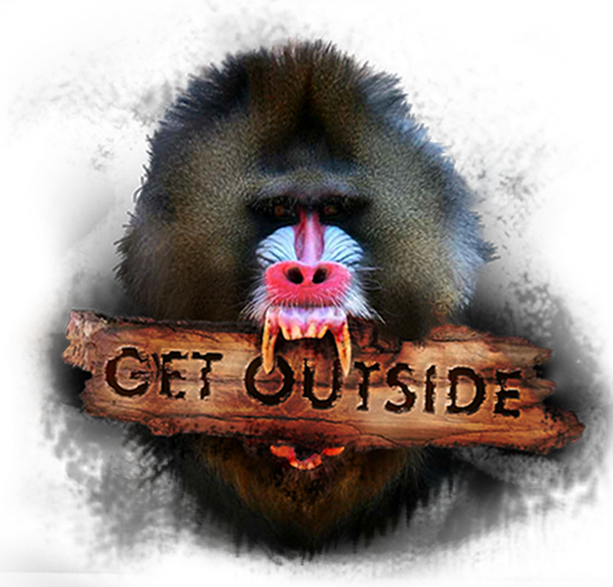 Monkey Png Anim - Mandrill Monkey (613x587), Png Download