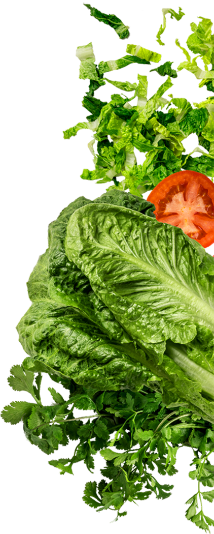 Handmade Tortillas Wheat And Flour - Salad Png (422x1050), Png Download