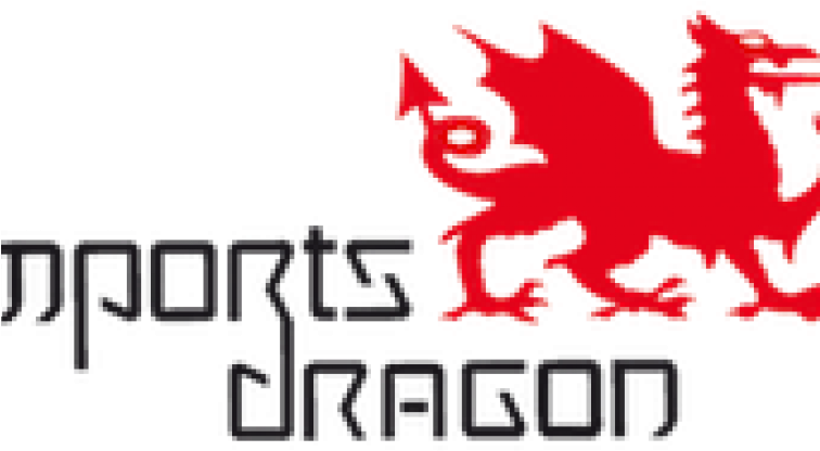 Importsdragonshopkins - Imports Dragon Logo (755x503), Png Download