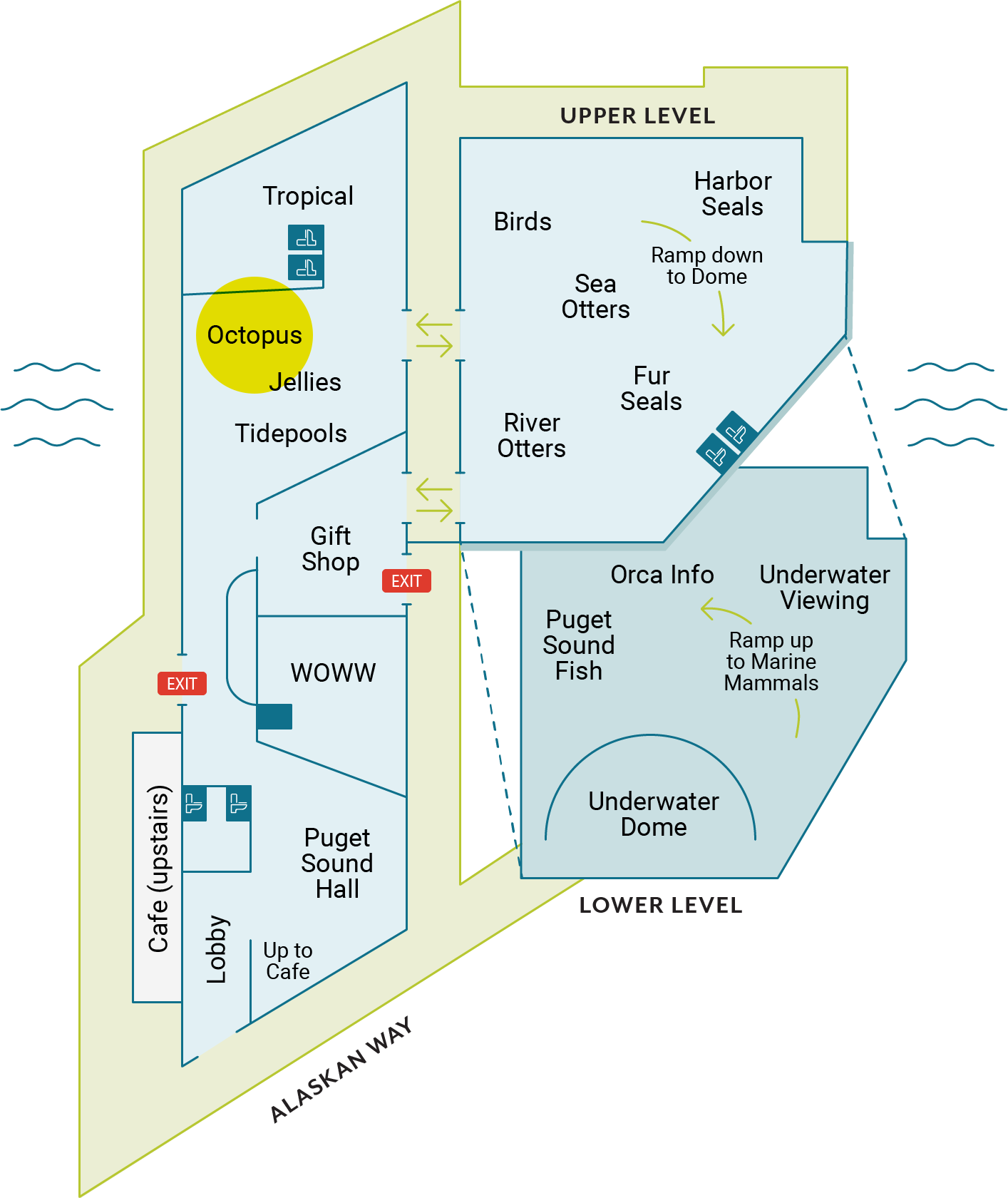 Life Of A Drifter - Seattle Aquarium (1414x1680), Png Download