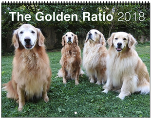 Also Get It At Http - Cafepress The Golden Ratio Wall Calendar (350x350), Png Download