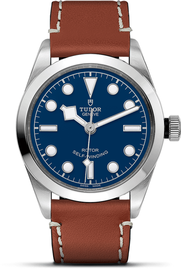 36 Mm Steel Case Brown Leather Strap - Tudor Heritage Black Bay 36 Ref. 79500 (900x1200), Png Download