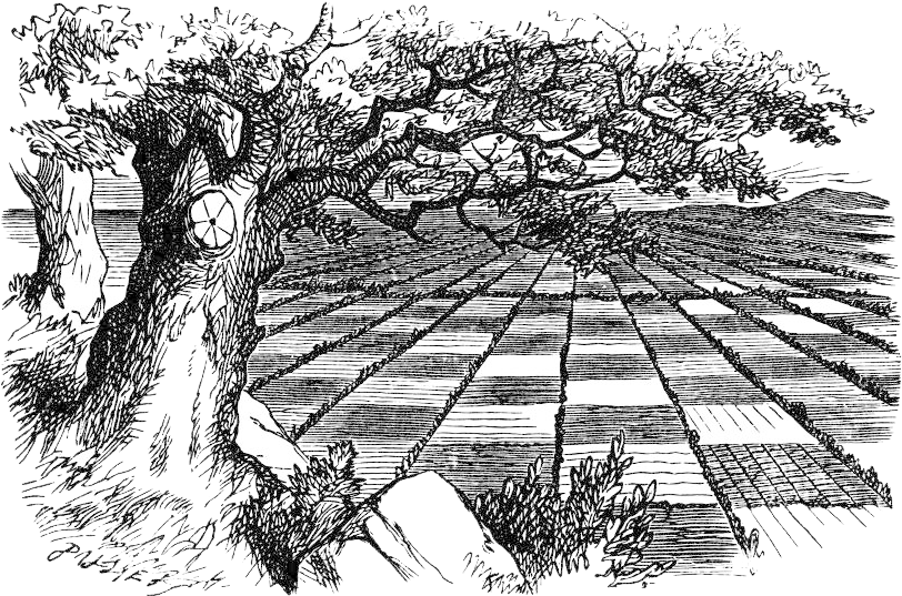 The Chessboard - Alice In Wonderland Illustrations Cat (822x553), Png Download