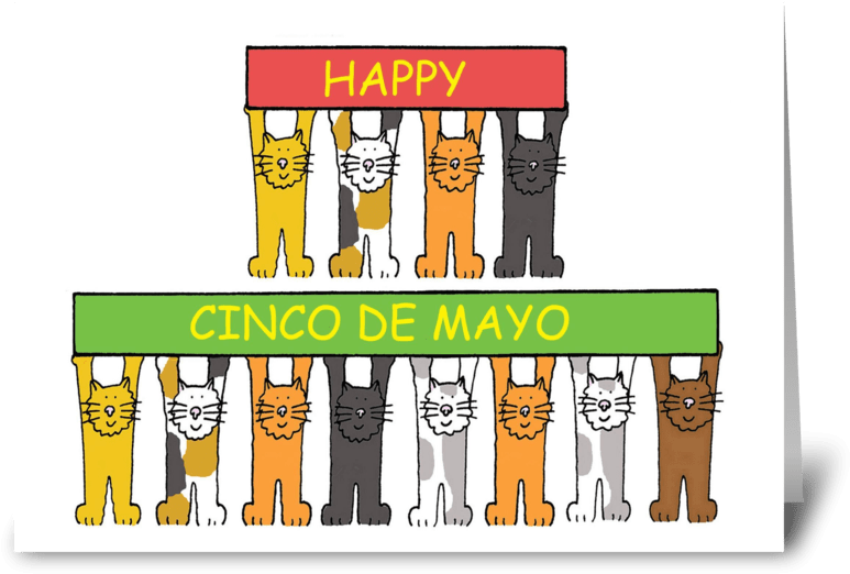 Cinco De Mayo Fun Cats - Funny Hernia Surgery Cards (848x698), Png Download
