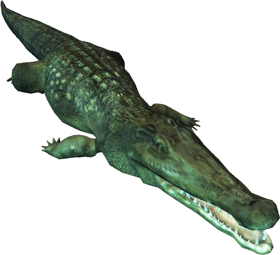 Ac4db - Crocodile - American Crocodile (1024x1024), Png Download