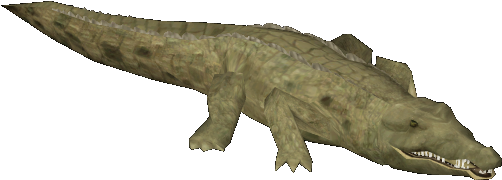 Orinoco Crocodile - Nile Crocodile (501x501), Png Download