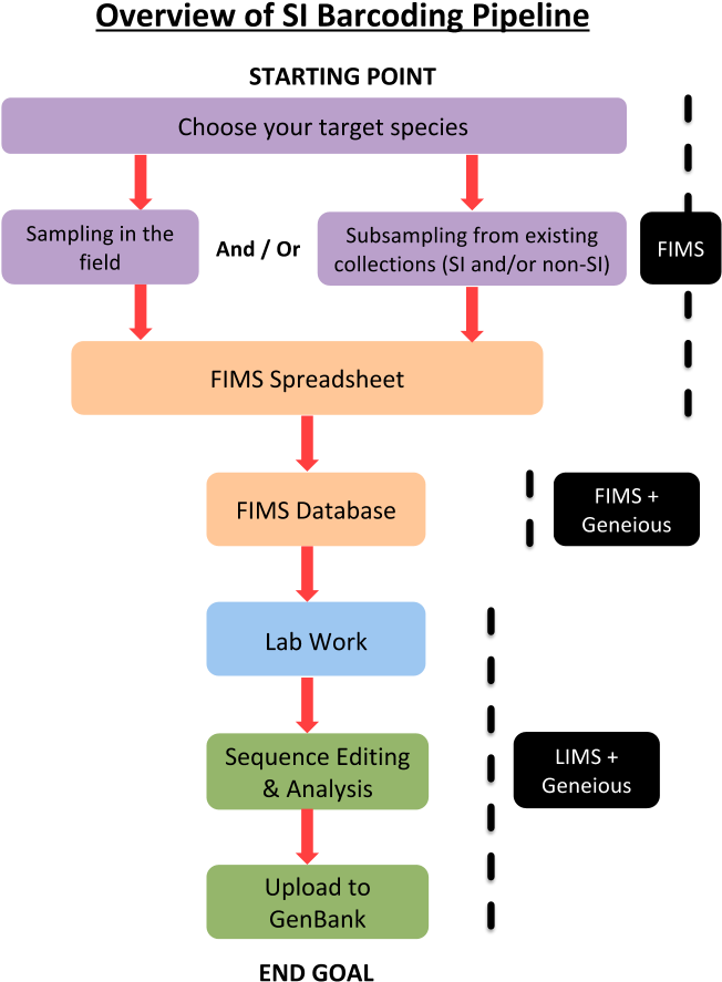 Images/si Barcoding Pipeline - Barcode (718x957), Png Download