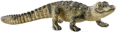 Happy Crocodile Cartoon Png Clipart Image - Schleich Alligator (489x357), Png Download